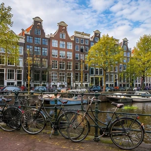 .nl domain inspiration for Plant .nl proudly on your digital map to the Netherlands.. Choose a memorable address and start building